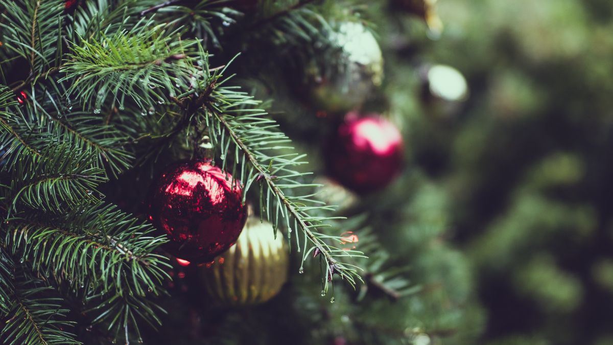 Jest kilka kroków do tego, by choinka nie gubiła igieł