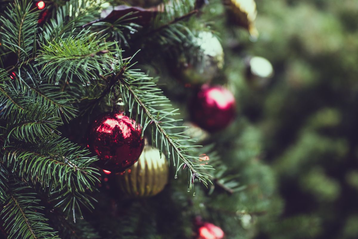 There are a few steps to ensure that a Christmas tree doesn't lose its needles.