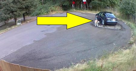 Poruszające nagranie. Przyjechała z psem na parking. Zostawiła go i uciekła