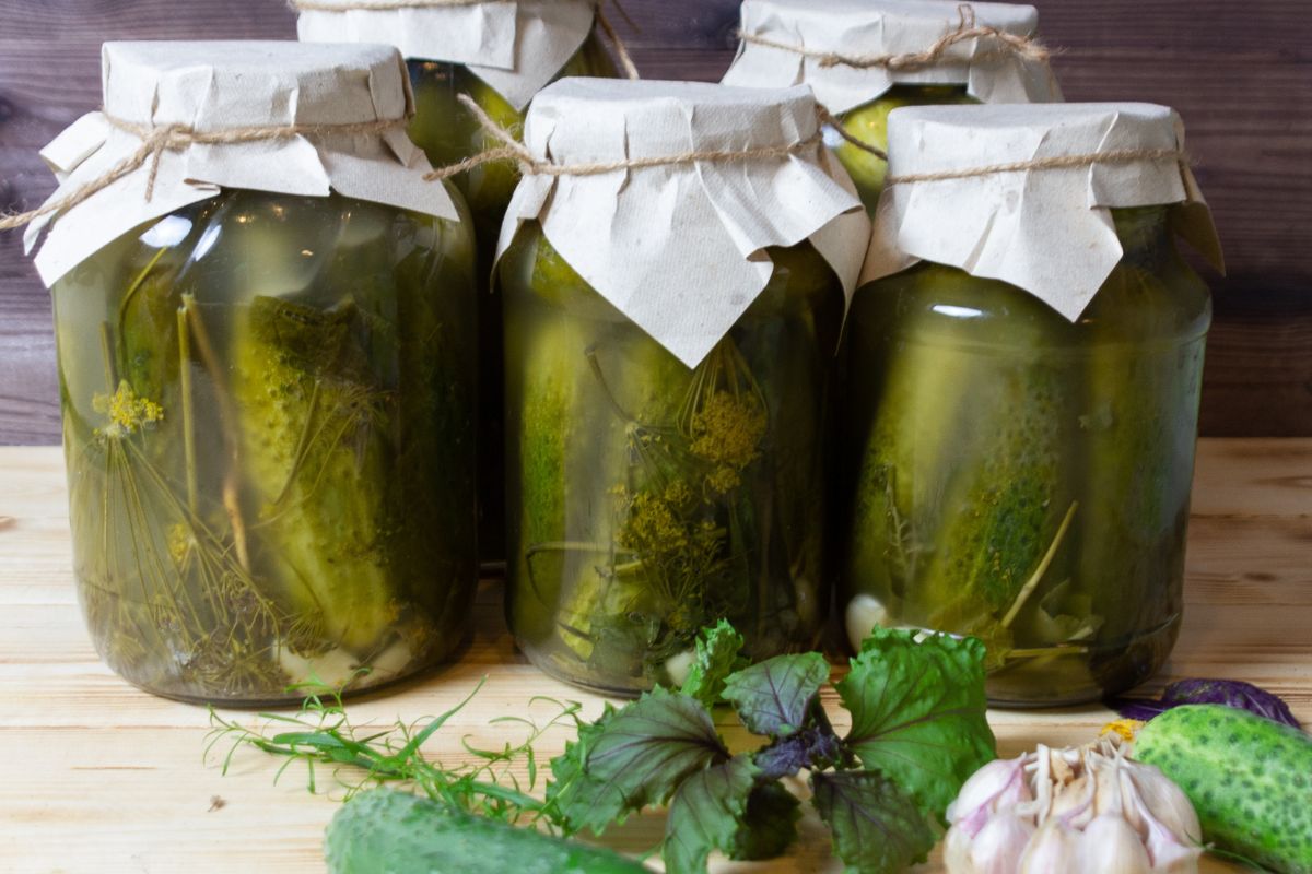 Zimowe superfoods z Polski. Co jeść, by wzmocnić odporność