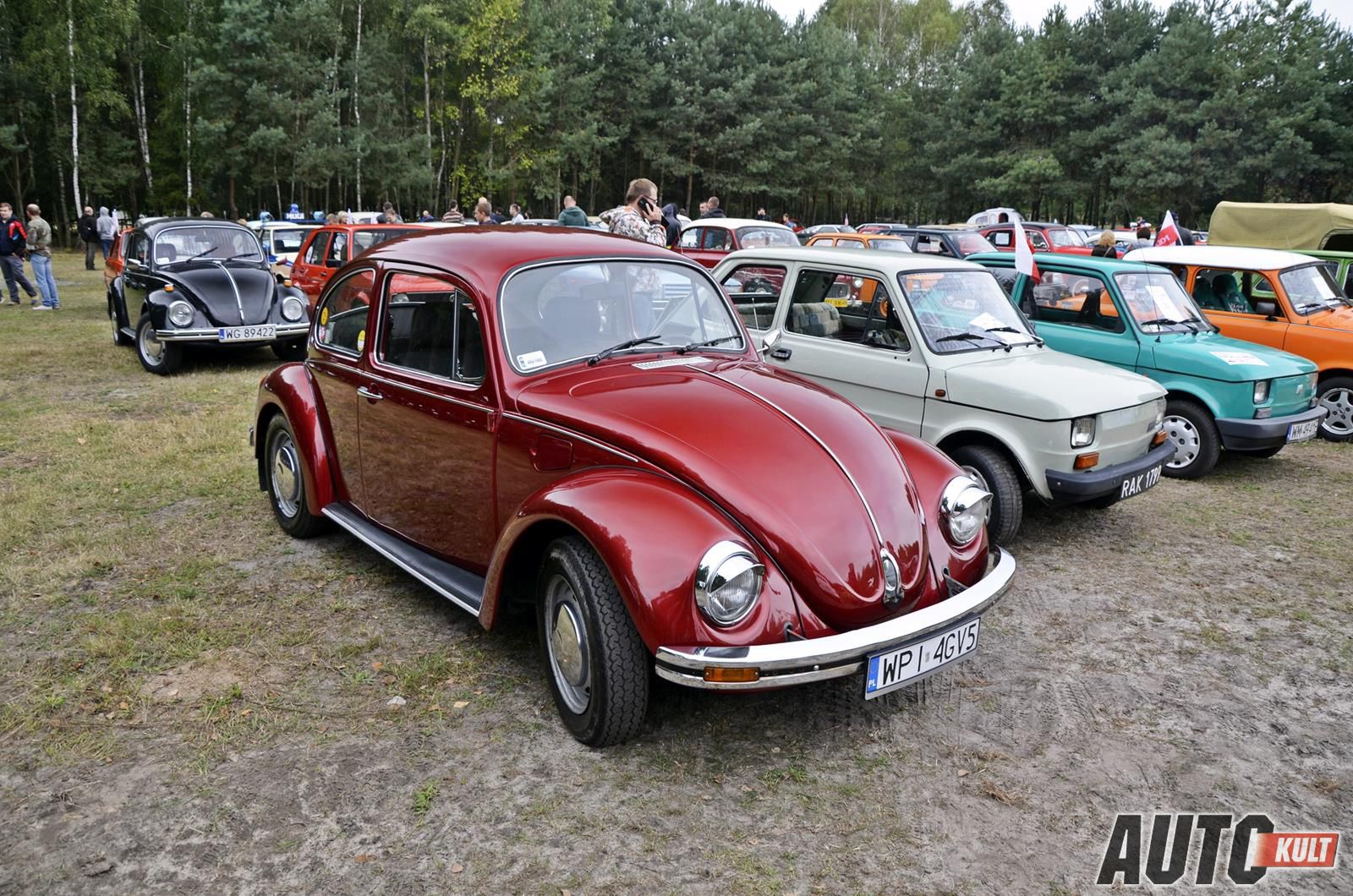 Zdjęcie ilustracyjne do artykułu
