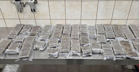 Polak zatrzymany na granicy. Próbował wwieźć do Rosji 40 kg haszyszu