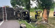 Tragiczny wypadek w Wólce Orłowskiej. Ciężarówka wioząca konie do rzeźni uderzyła w drzewo