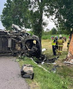 Tragiczny wypadek w Wólce Orłowskiej. Ciężarówka wioząca konie do rzeźni uderzyła w drzewo