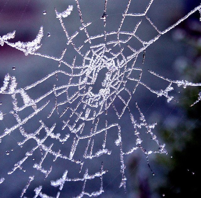 10 najdziwniejszych tradycji świątecznych z całego świata 11