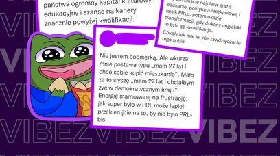 Posłanka Lewicy krytykuje "mit ciężkiej pracy". Boomerzy: ryk, bo trzeba bronić demokracji xD