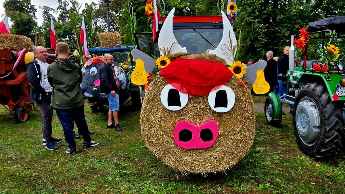 Dożynki