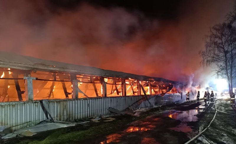 Potężny pożar kurnika koło Gorzowa. Cały budynek w ogniu