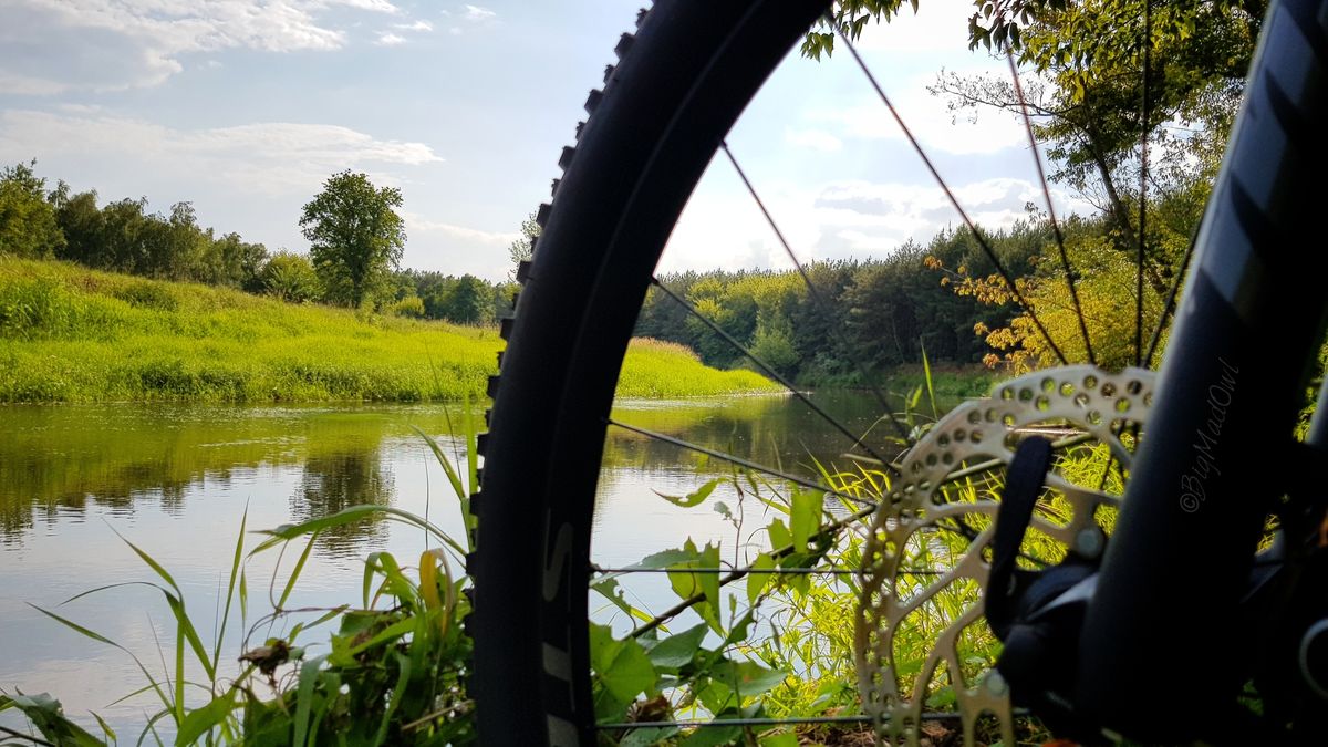 W czasie pandemii rośnie liczba zakupów na raty.