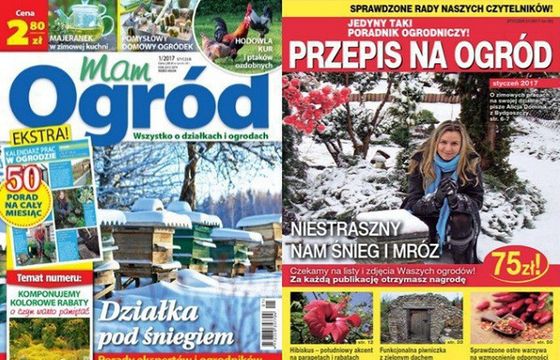 „Działkowiec” liderem w październiku, „Magnolia” najbardziej w dół