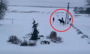 Odsłoniła rolety. I nagle taki widok. "Jakie było moje zdziwienie"