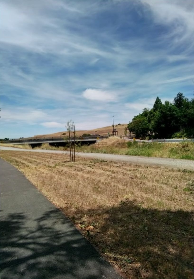 Dobre zdjęcia z telefonów za grosze. Android Go z usprawnioną aplikacją aparatu 7