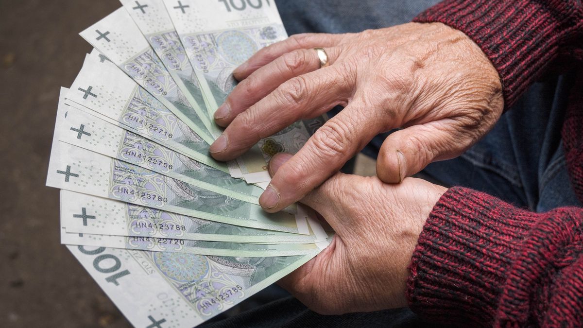 An elderly man holds Polish money, a pension, in his hands.
An elderly man holds Polish money, a pension, in his hands.
Robert  Blaszkowski
pay, bank, 100, cash, hundred, finances, money