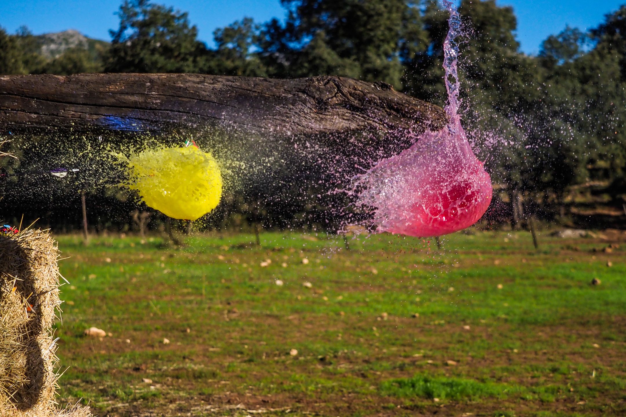 Olympus OM-D E-M1 Mark II - najszybszy na rynku [test] 36
