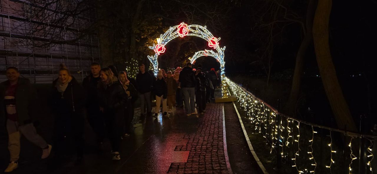 Płockie Ogrody Światła