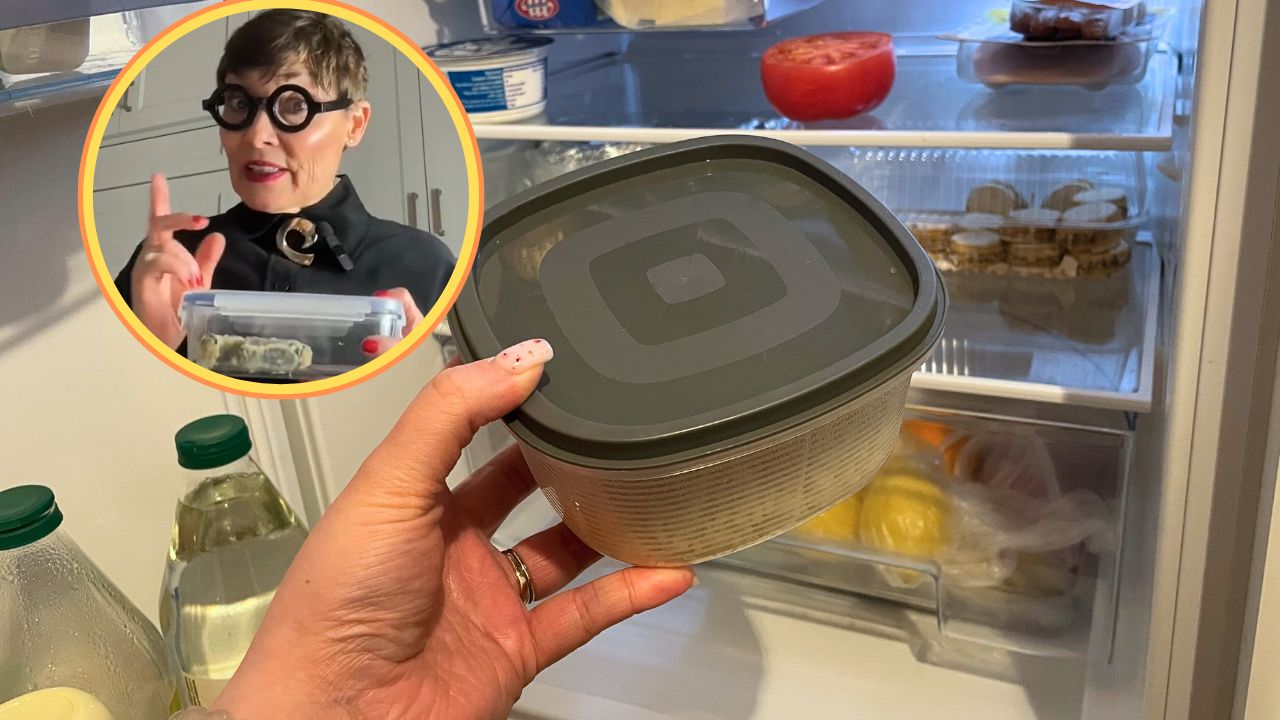 Expert's TikTok reveal: Storing warm leftovers in the fridge is safer than you think