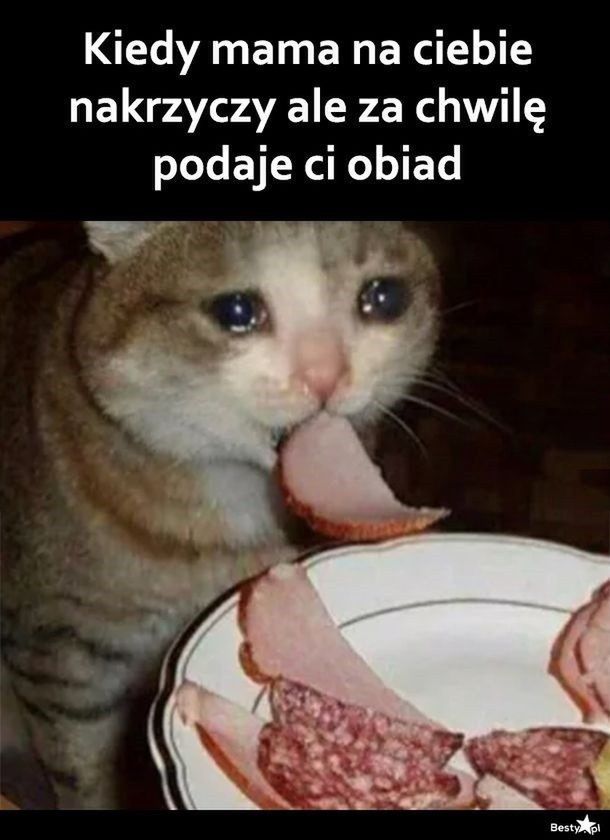 Memy na Dzień Matki 2024 (Internet)