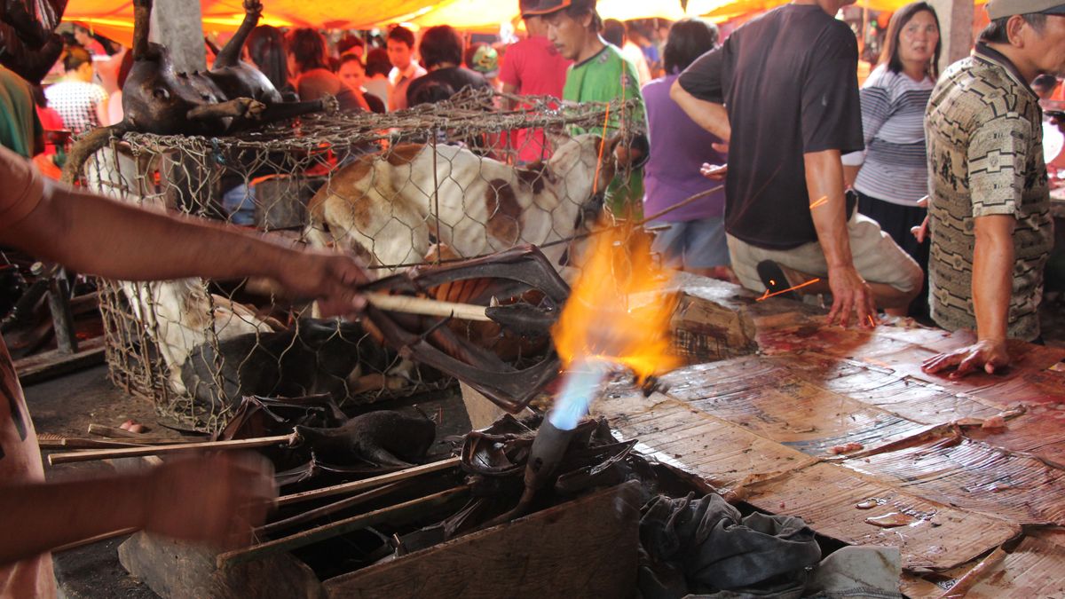 Targ w Tomohon przypomina ten w Wuhan.