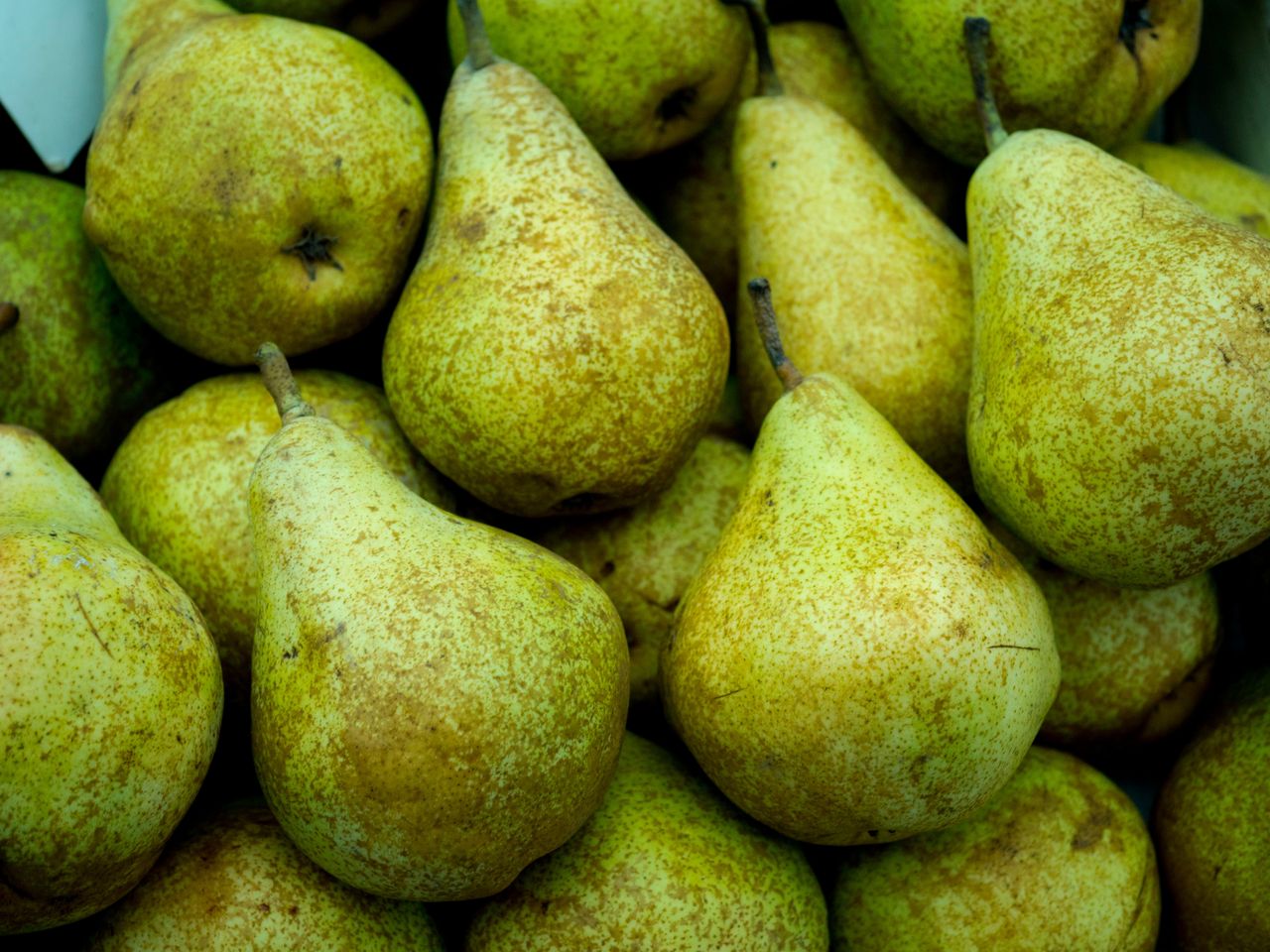 Niedoceniane przez Polaków. Wspierają serce i jelita