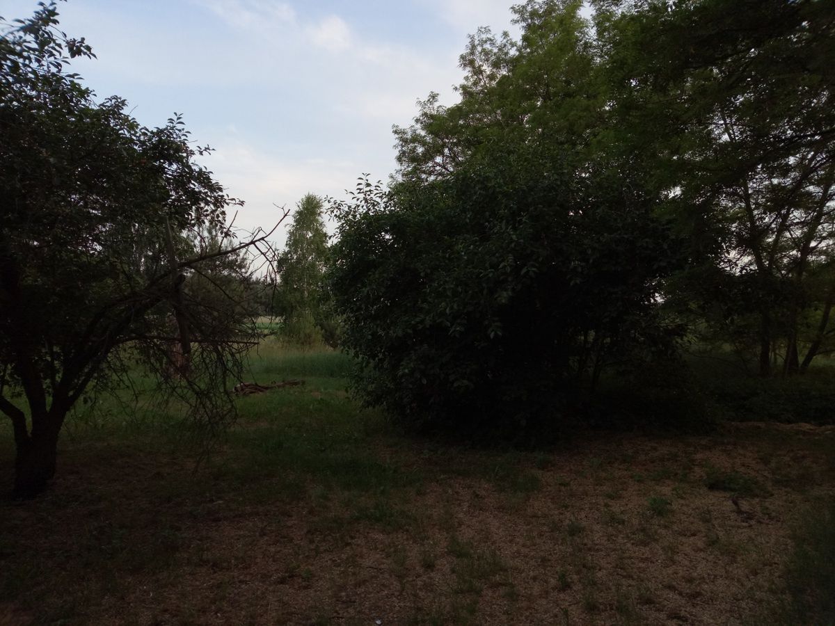 TP-Link Neffos C7 – test bardzo udanego smartfonu za 500 zł 16