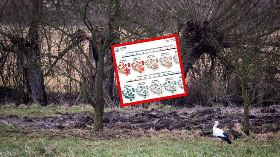 W najbliższych dniach możemy zobaczyć nawet kilkanaście stopni ciepła