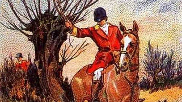 Trudny test na spostrzegawczość. Widzisz lisa? 