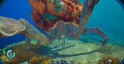 Subnautica 2 sprzedała 2 miliony kopii. Twórcy pokazali roadmapę wczesnego dostępu