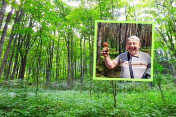 Sezon zainaugurowany. Takie znaleziska w lesie. Leśnicy nie kryją dumy