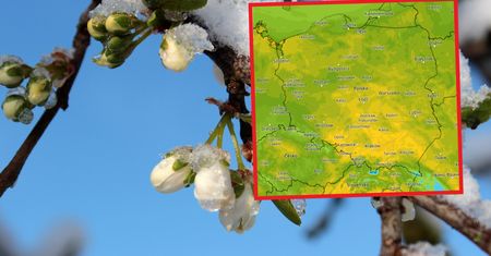 Kiedy zrobi się ciepło? Najnowsza prognoza nie pozostawia złudzeń