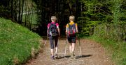 Marsz z kijkami. Różnice między trekkingiem i Nordic Walking