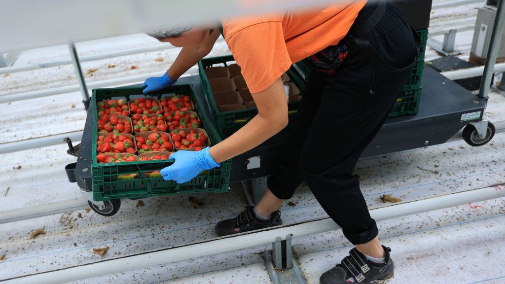 Szukają Polaków do pracy