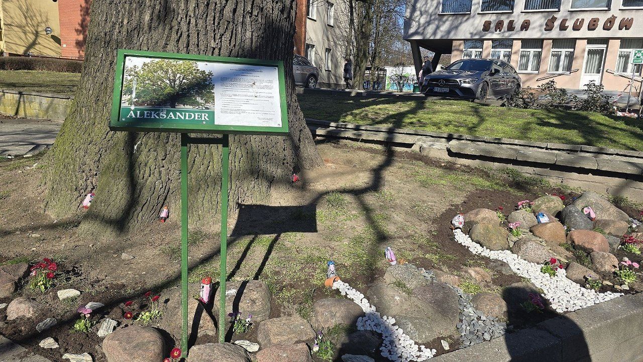 Kolejna edycja Budżetu Obywatelskiego w Aleksandrowie Kujawskim. W 2025 r. mieszkańcy mają do wybory 6 projektów