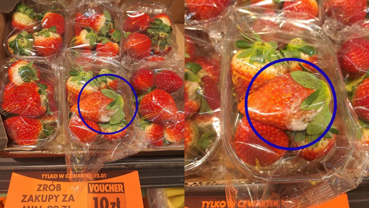 Spleśniałe truskawki w Biedronce