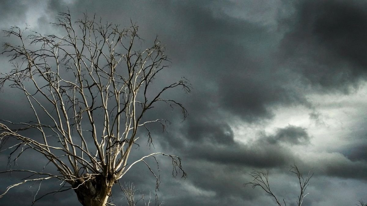 Jaka będzie pogoda 14 i 15 lipca? 