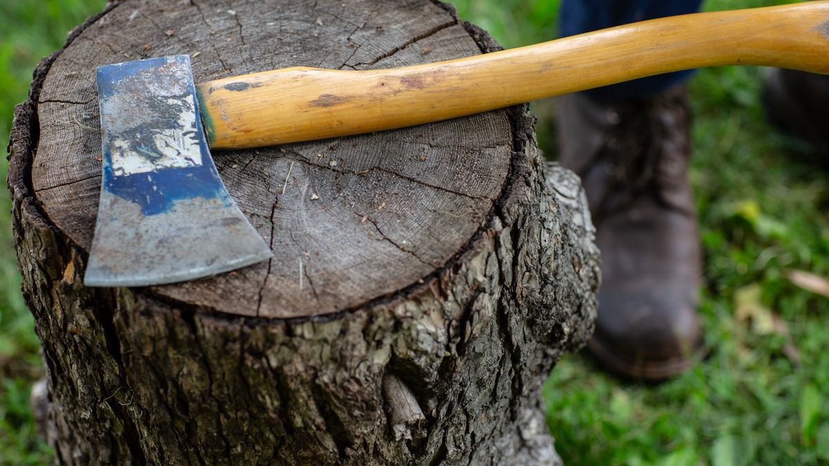 34-latek zaatakował matkę siekierą