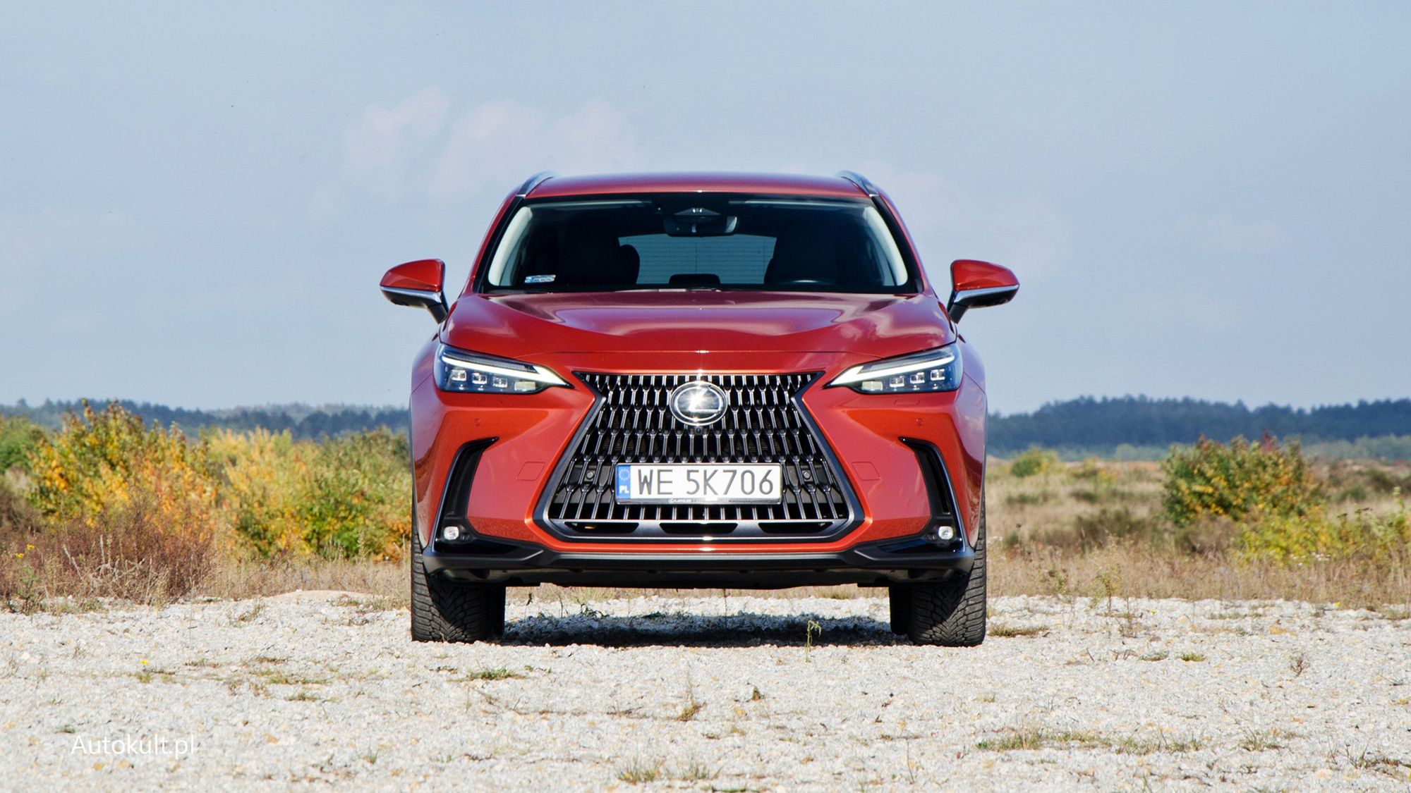 Lexus NX 350h