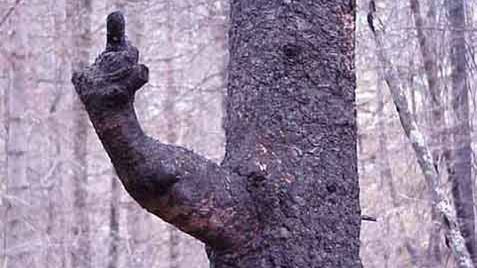 Natura nie daje drugiej szansy [short] 1