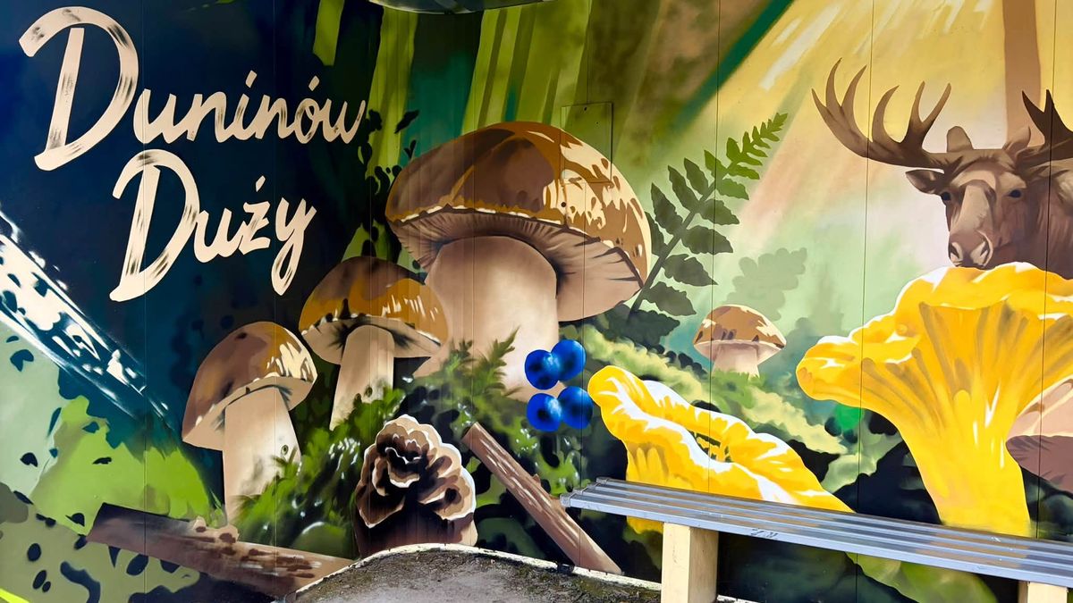 Nowe murale na przystankach w Gminie Nowy Duninów 