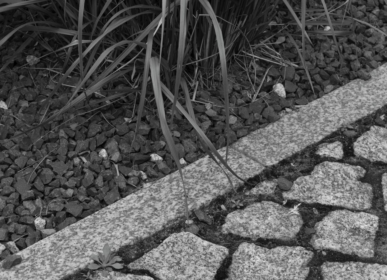 Trzydzieści pięć milimetrów najlepszej klasyki dla bezlusterkowców - Zeiss Biogon ZM 35 mm f/2 54