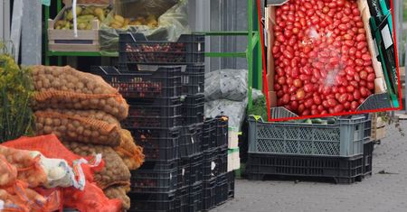 Spleśniałe pomidory na polskiej giełdzie. Ruszyły kontrole, mogą posypać się kary