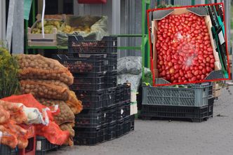 Spleśniałe pomidory na polskiej giełdzie. Ruszyły kontrole, mogą posypać się kary