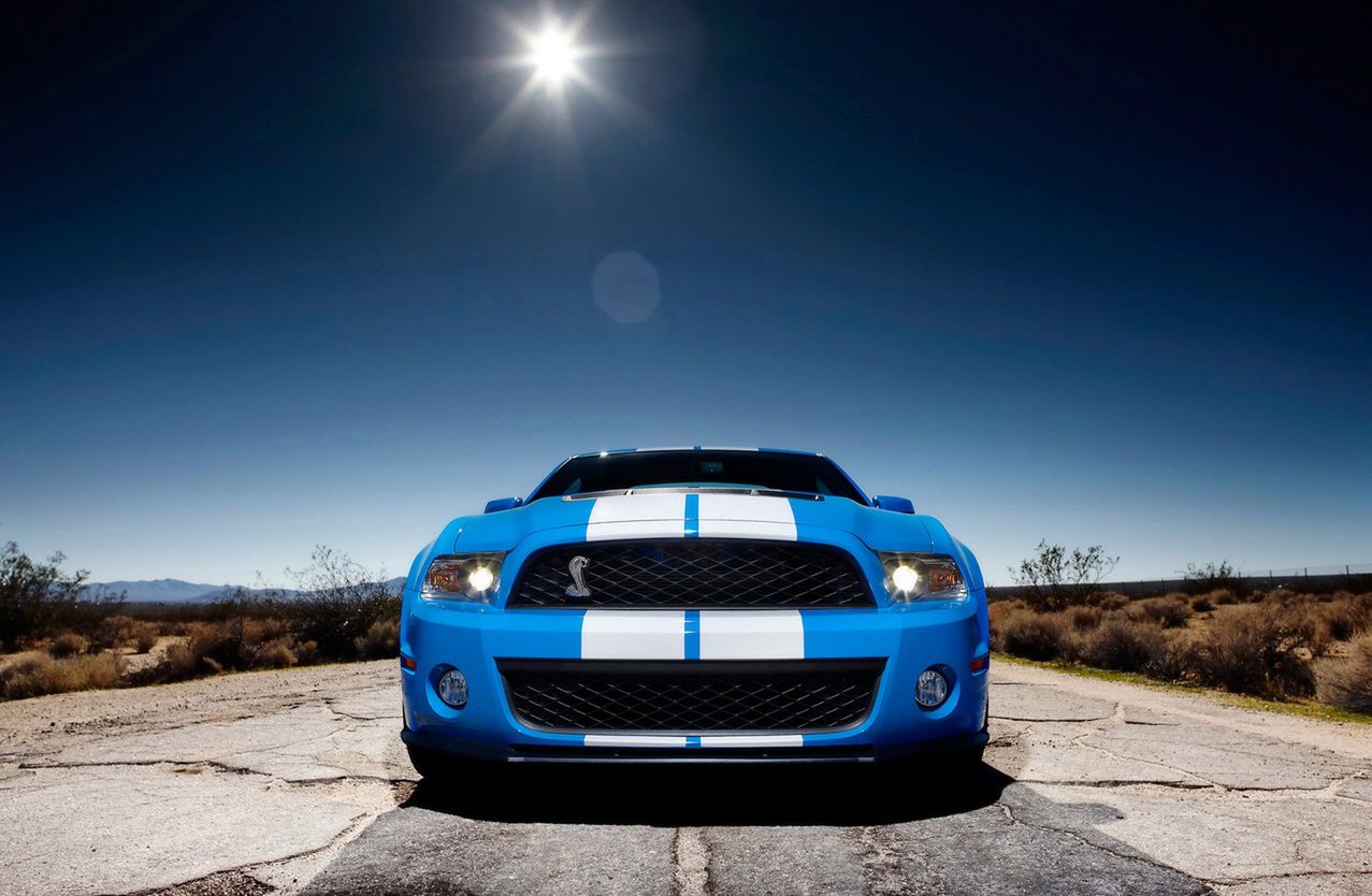 American Muscle - tylko dla prawdziwych mężczyzn! [galeria] 49