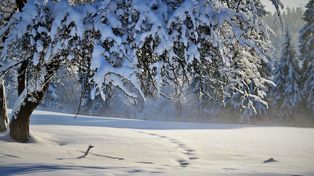 Lubelskie: IMGW odwołał ostrzeżenia