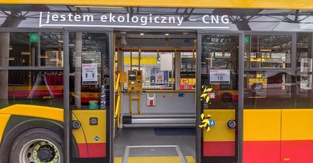 Warszawa. Kierowca woził dzieci autobusem. Nie miał uprawnień do prowadzenia pojazdu. "Problemy są od lat"