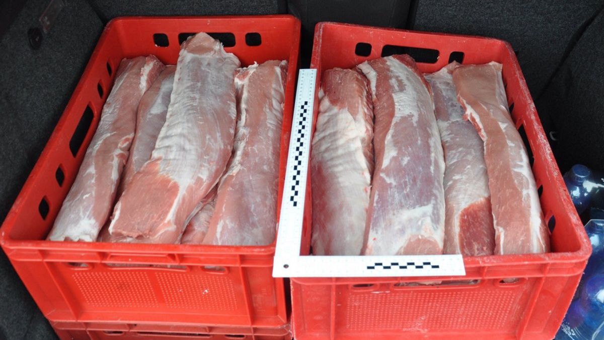 Dwóch mieszkańców gminy Nidzica zostało zatrzymanych przez policję w sprawie kradzieży mięsa w ubojni, w której pracowali.