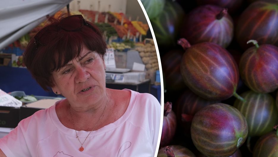 Pani Genowefa sprzedaje agrest na bazarach w Kielcach 