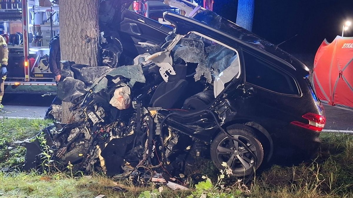 Auto wbiło się w drzewo.