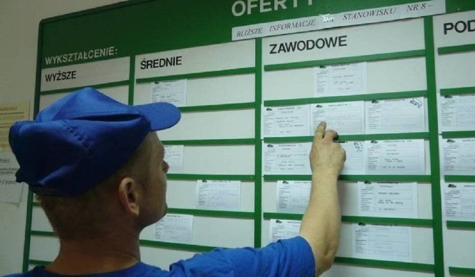 Ile średnio zarabiają Lubuszanie? Kogo chętnie zatrudniają pracodawcy? Nowy raport
