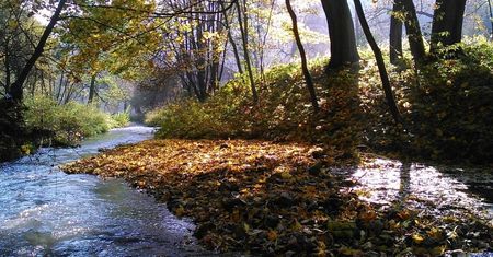Koniec darmowych wejść. To może być odczuwalne dla kieszeni turystów