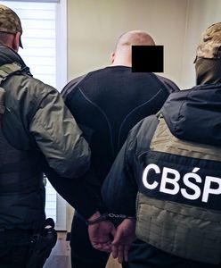 Polski gang z Londynu rozbity. Zatrzymania na Wyspach i w Białymstoku